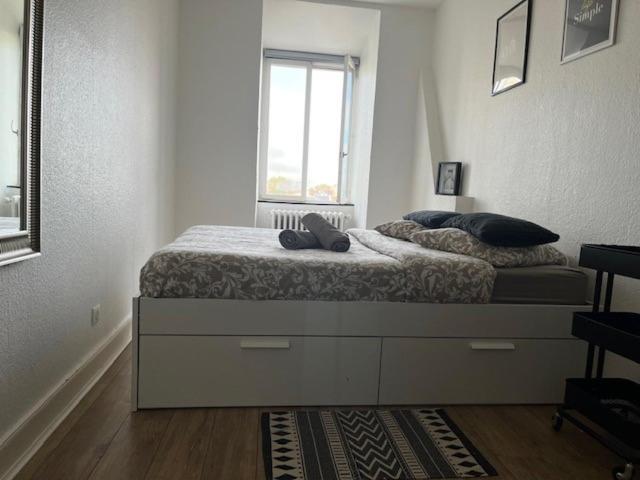 Cosy Rent Strasbourg Orangerie Tv Wifi Cathedrale Daire Dış mekan fotoğraf