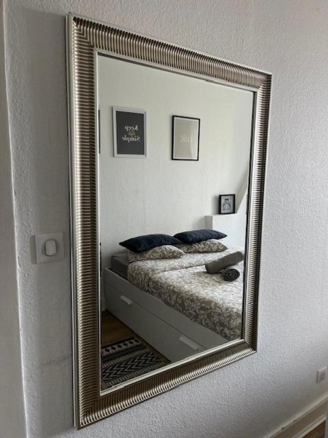 Cosy Rent Strasbourg Orangerie Tv Wifi Cathedrale Daire Dış mekan fotoğraf